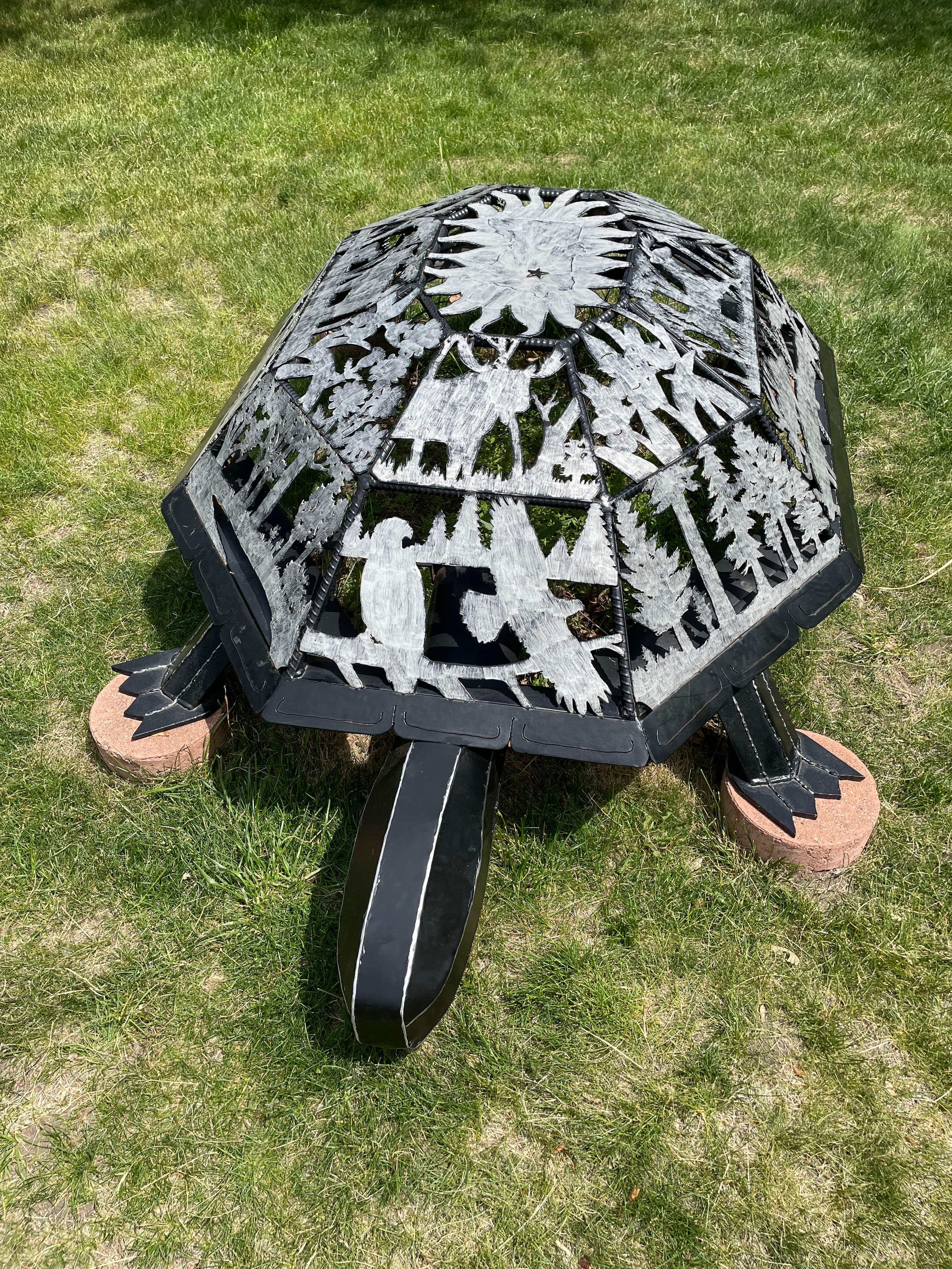 Minnesota Eco Turtle