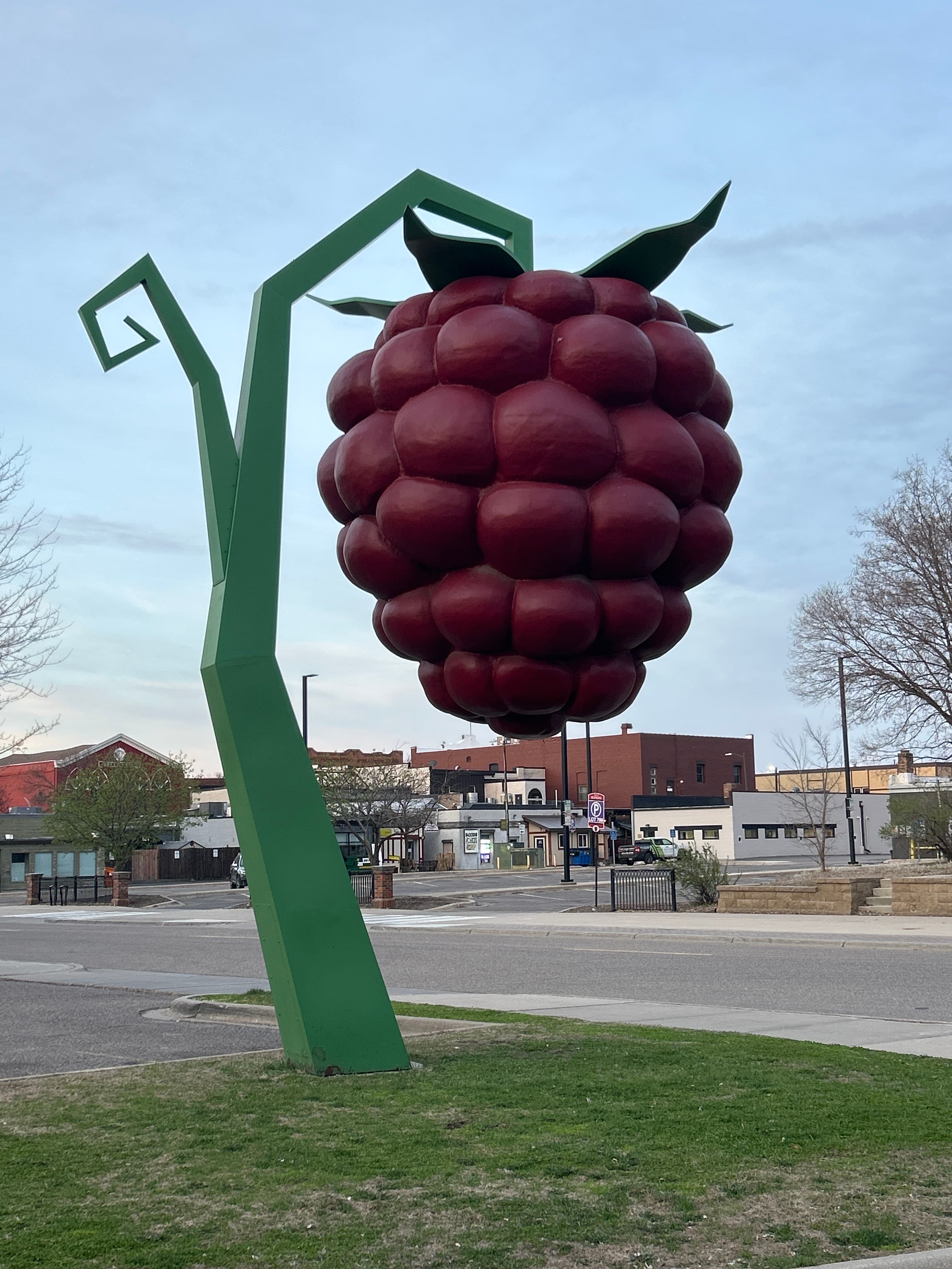 The World’s Largest Raspberry