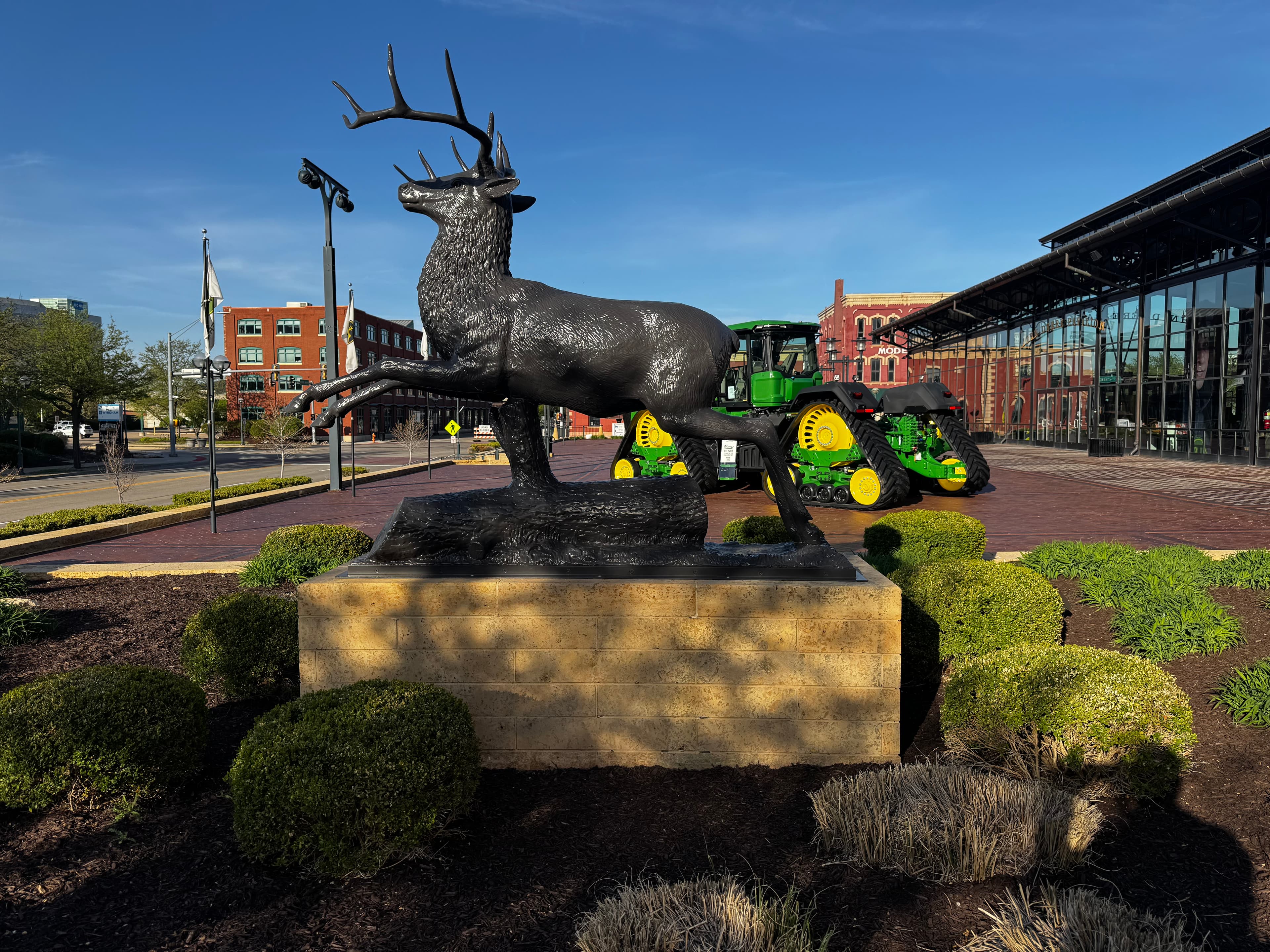 John Deere Deer