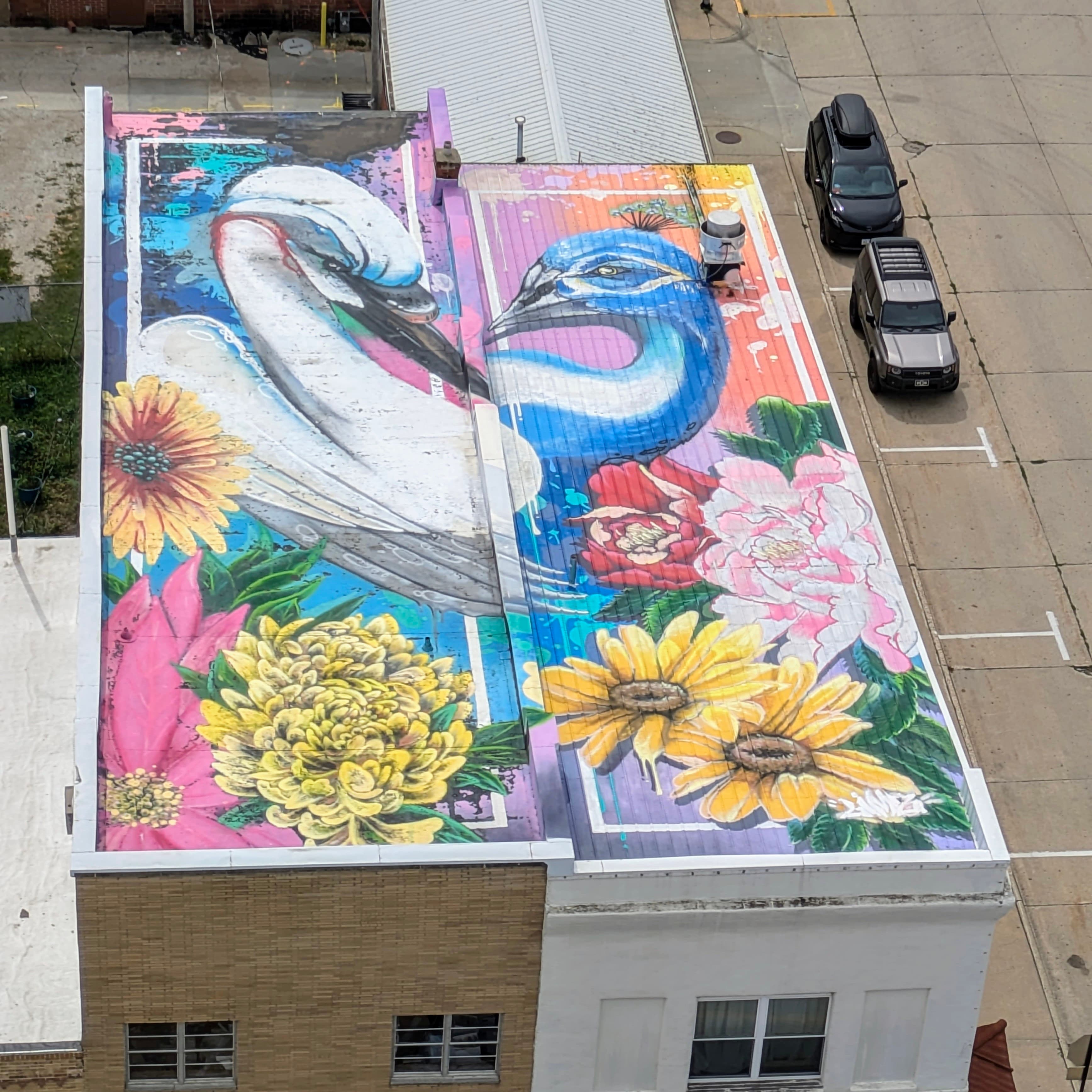 Rooftop birds of Jefferson