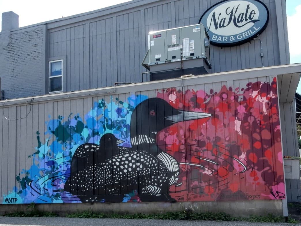 Wild Loons