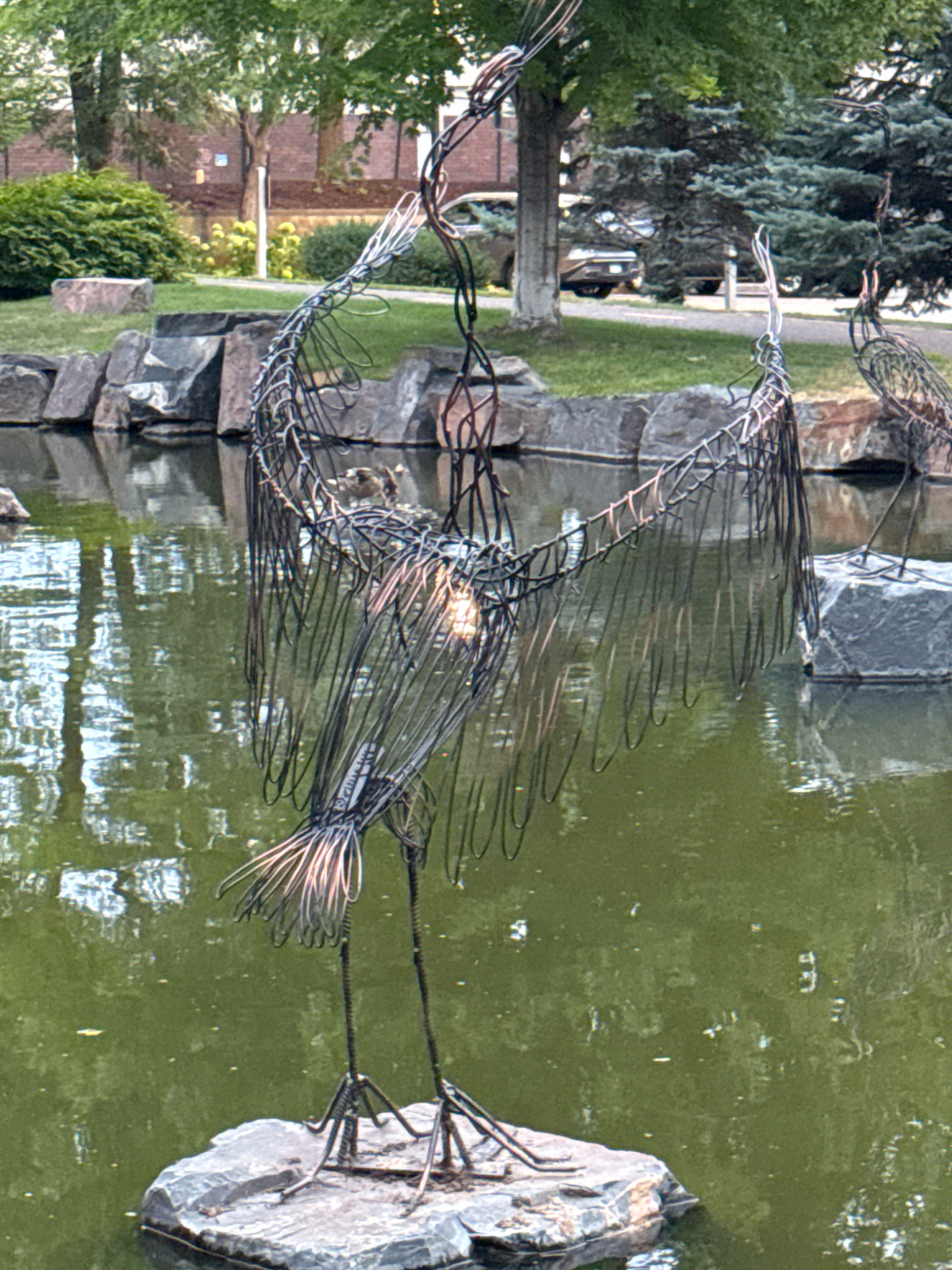 Dancing Cranes