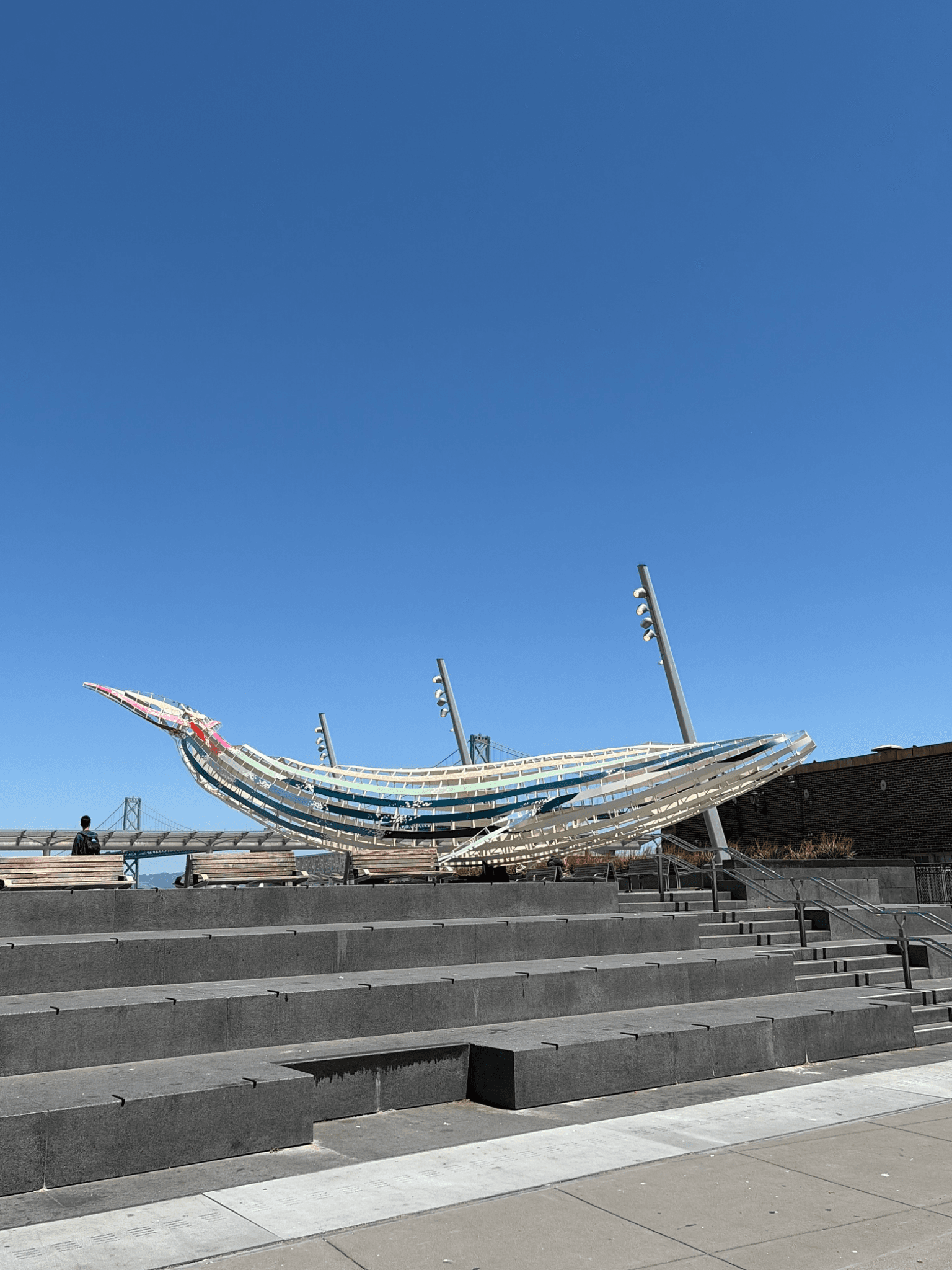Whale Near Ferry Marketplace