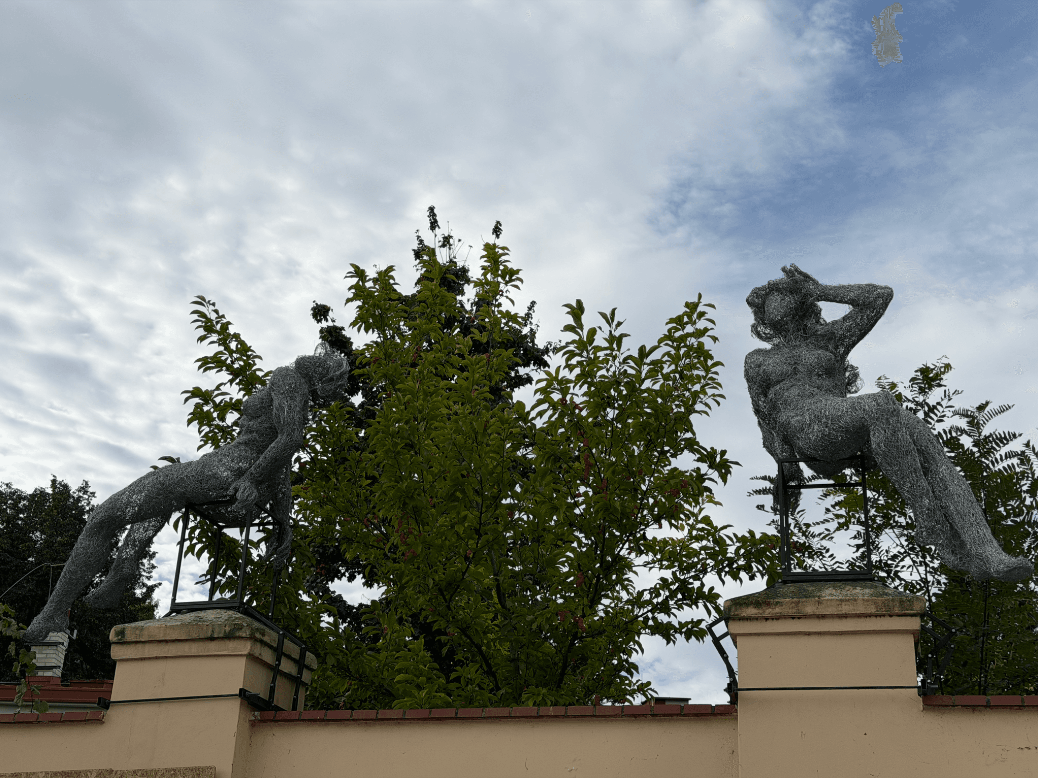 Wire Women