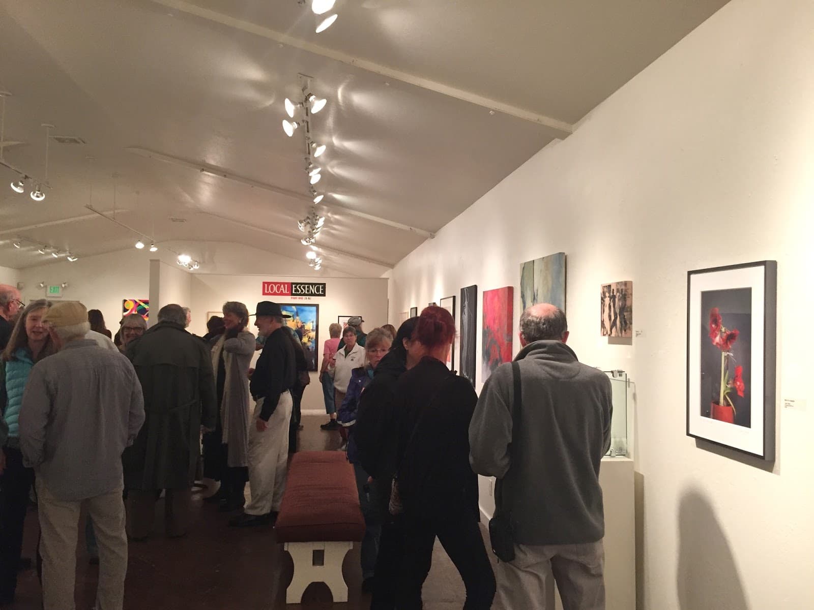 Public art in Santa Cruz